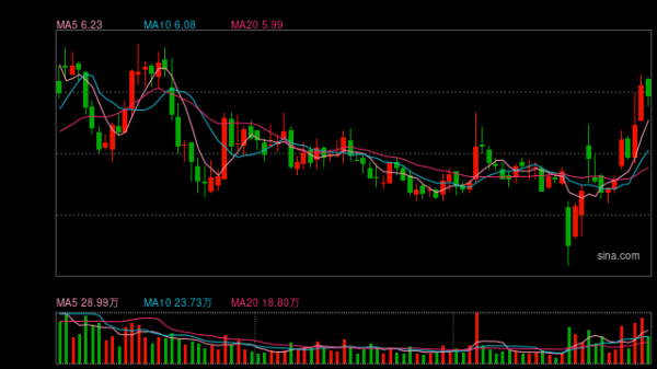 上阳网 厦门国企象屿地产缩编，67亿元拿下闵行地块，重仓上海能否破局？