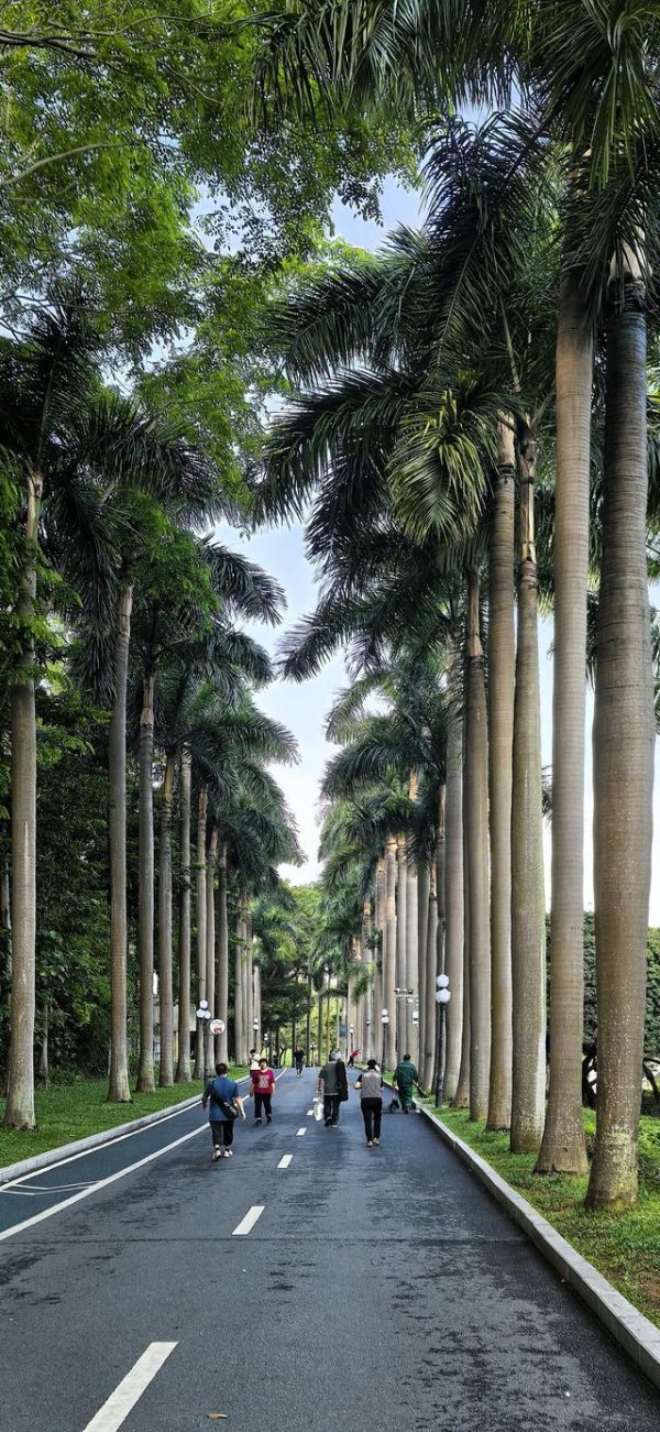 富源优配 魅力南山 | 清晨打卡深圳最早的公园