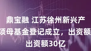 鼎宝融 江苏徐州新兴产业专项母基金登记成立，出资额30亿