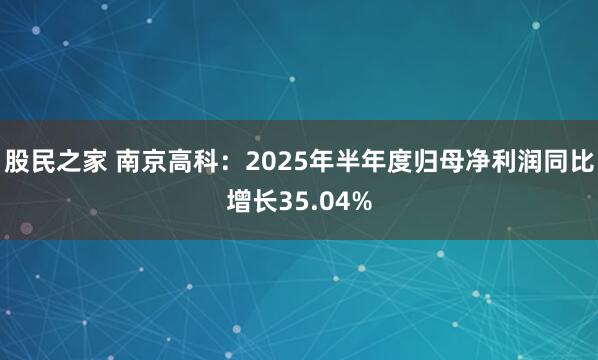 股民之家 南京高科：2025年半年度归母净利润同比增长35.04%