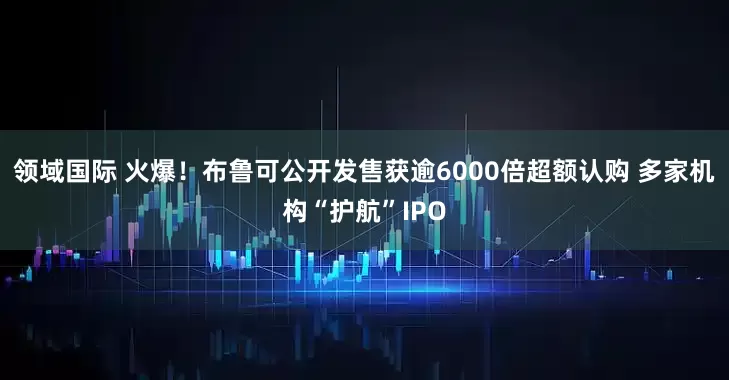 领域国际 火爆！布鲁可公开发售获逾6000倍超额认购 多家机构“护航”IPO